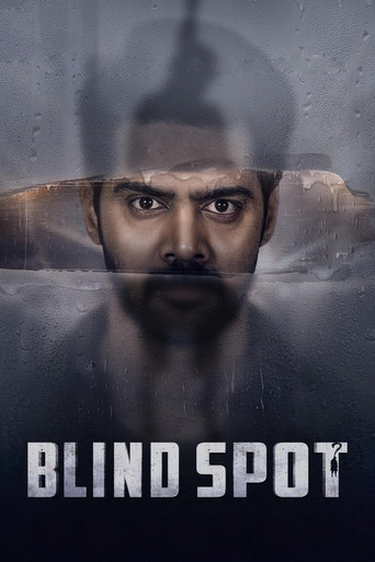 Blind Spot (2025) Hindi Dubbed