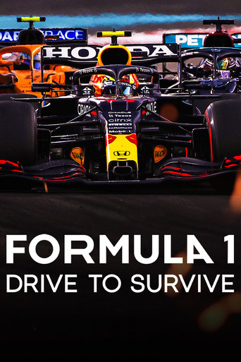 Formula 1: Drive to Survive (2023) Hindi Season 5 Complete Netflix