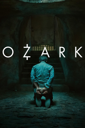 Ozark (2017) Hindi Season 1 Complete Netflix