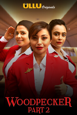 Woodpecker Part: 2 (2020) ULLU UNRATED Hindi S01 Complete